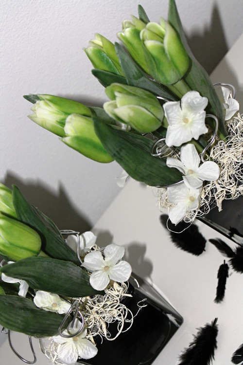 Zelené tulipány v černé kostce — foto 3