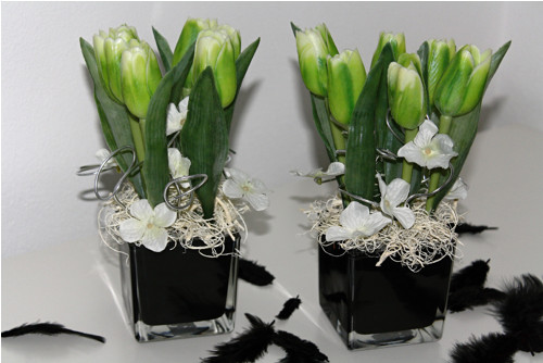 Zelené tulipány v černé kostce — foto 4