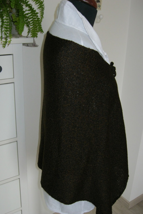 Pončátko hnědočerné — foto 3