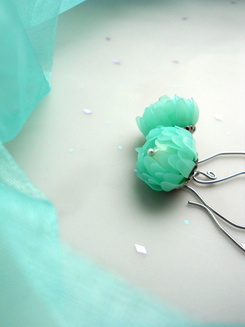 Chrysanthemum mint... — foto 4