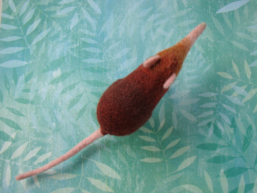 Bércoun Sengi — foto 5