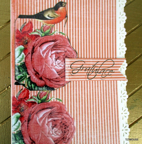Bird in Love — foto 2