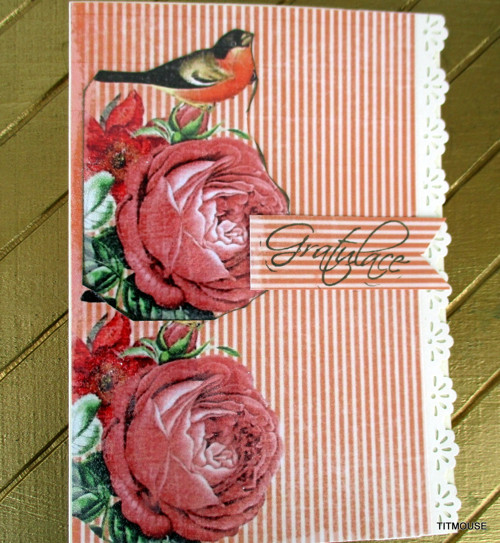 Bird in Love — foto 3