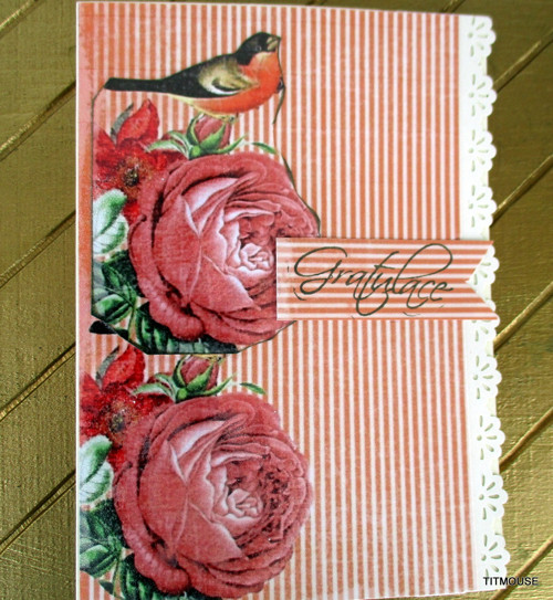 Bird in Love — foto 4