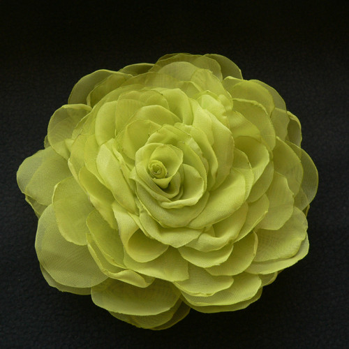 Light Green — foto 2
