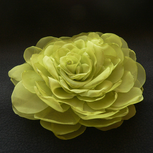 Light Green — foto 3