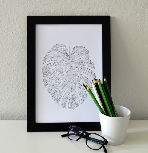 Philodendron — foto 2