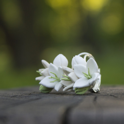 Jarní květy — foto 6