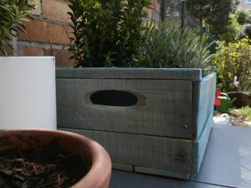 Coffee Box Mexico — foto 5