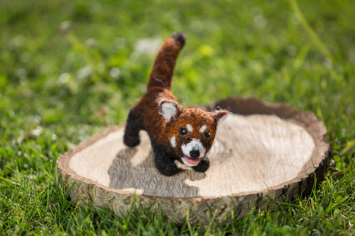 Panda červená — foto 4