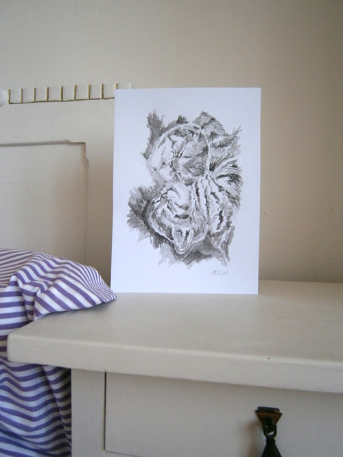 Kočičí schoulení — foto 2