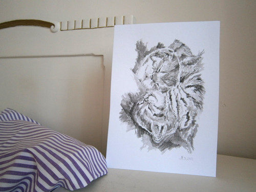 Kočičí schoulení — foto 3