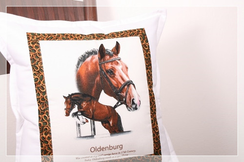 Polštáře - Klus A Cval - Oldenburg — foto 2