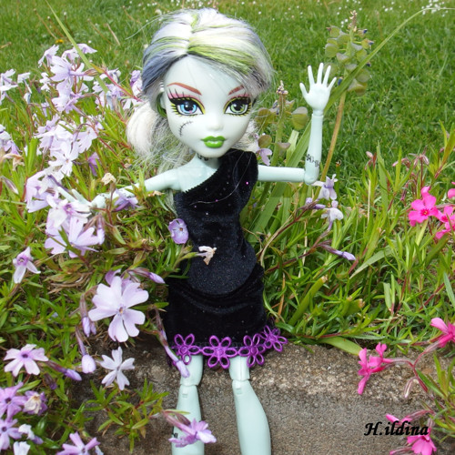 Šatičky „ZALA“ pro panenky Monster High — foto 4