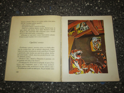 Zajatci džungle — foto 3