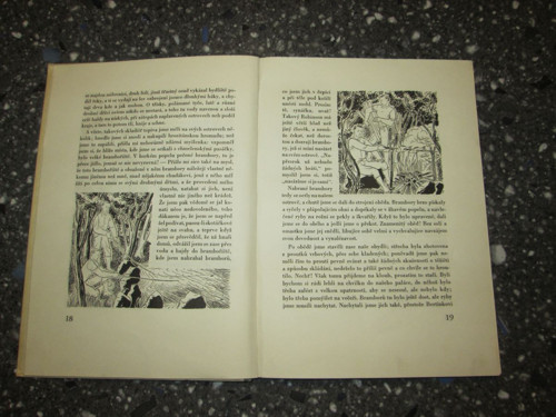 Robinson na Otavě - Klostermann — foto 2
