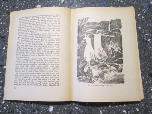 Hlídka stříbrného jezera — foto 2