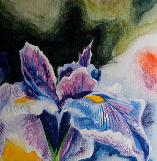 ...iris... — foto 2