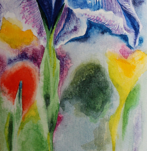 ...iris... — foto 3