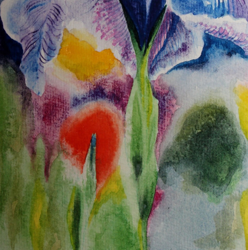 ...iris... — foto 5