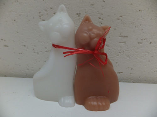 Kočičí duo — foto 2