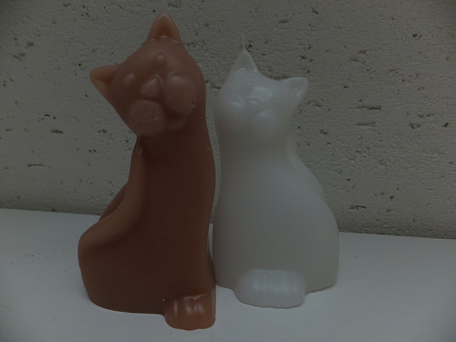 Kočičí duo — foto 3