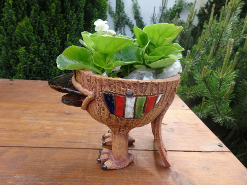 Ptáček na nožkách — foto 3