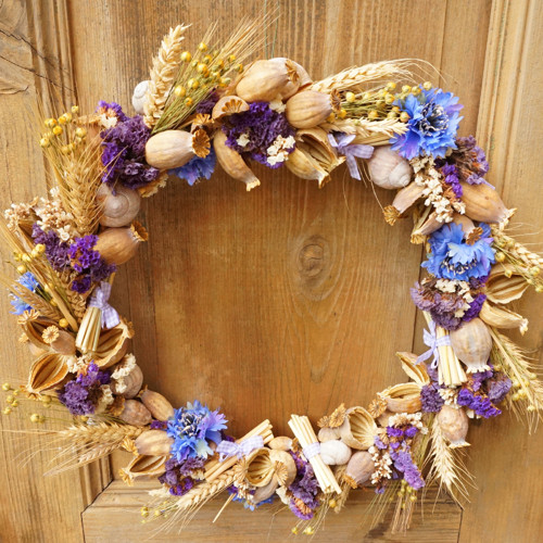 Letní chrpový — foto 5