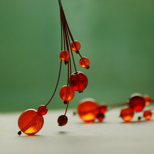 Oranžády kubánské — foto 3