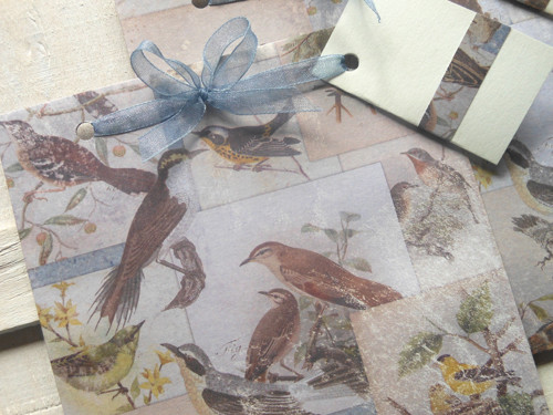 Sbírka ptáčků - obal na CD 13x14 cm — foto 3