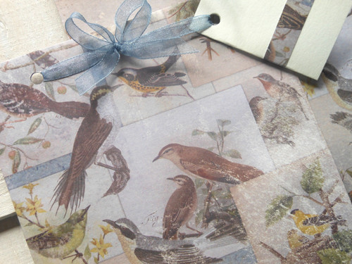 Sbírka ptáčků - obal na CD 13x14 cm — foto 4