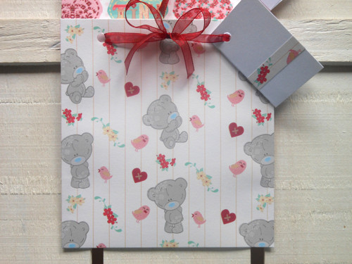 Medvídek Teddy a ptáčci - obal na CD 13x14 cm — foto 6