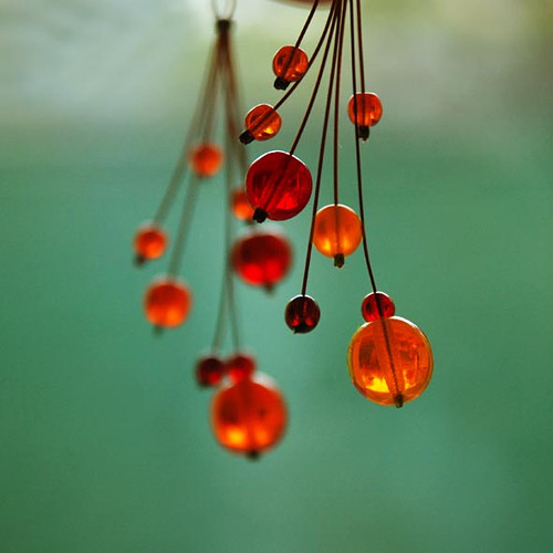 Oranžády kubánské — foto 4
