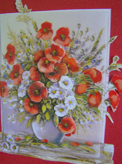 A5 přání 63 — foto 3