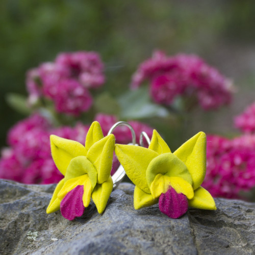 Brassolaeliocattleya Greenwich — foto 5