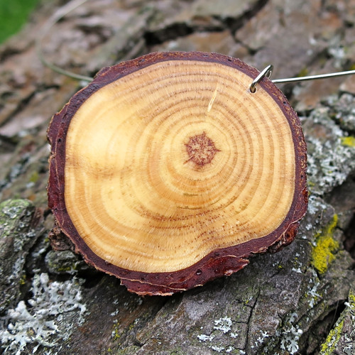 Vstříc lepším zítřkům — foto 2