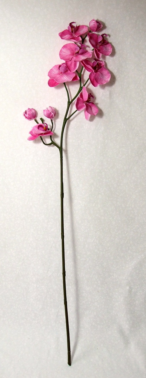 Orchidej růžová 67 cm — foto 2