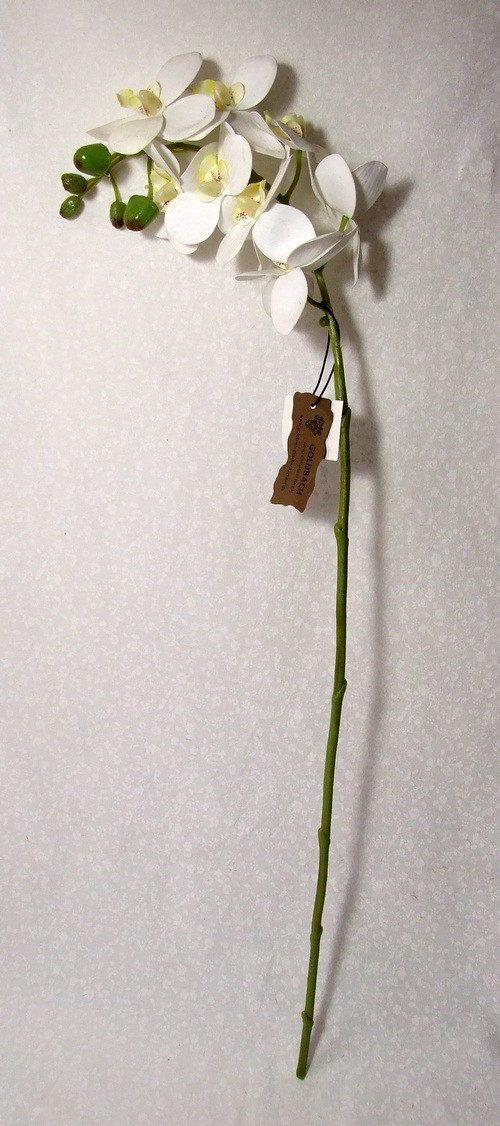 Orchidej bílá luxusní, 60 cm — foto 2
