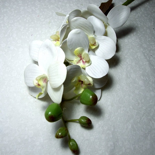 Orchidej bílá luxusní, 60 cm — foto 3