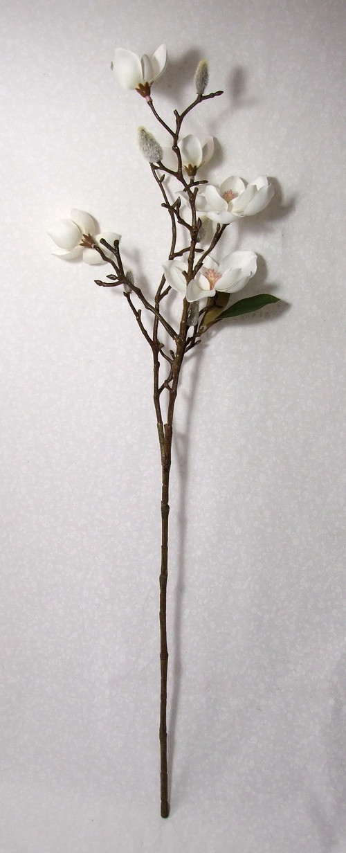 Větev magnólie 65 cm — foto 2