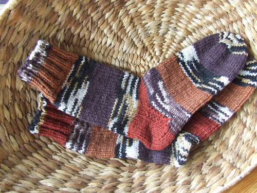 Hnědé strakaté č.39 — foto 3