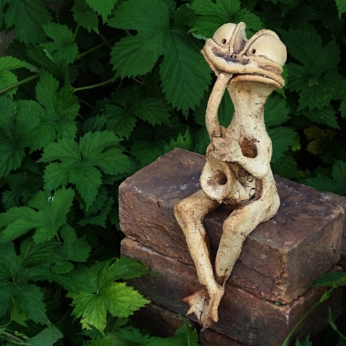 Žabák saxofonista — foto 2