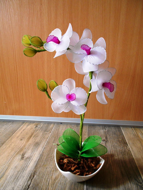 Bílá orchidej — foto 2