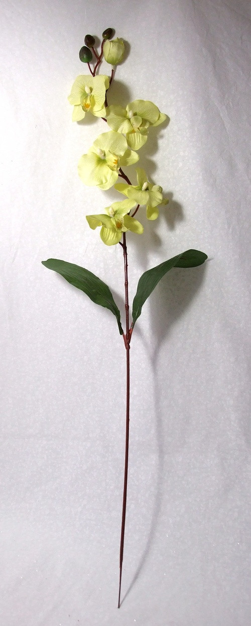 Orchidej světle zelená 77 cm — foto 2