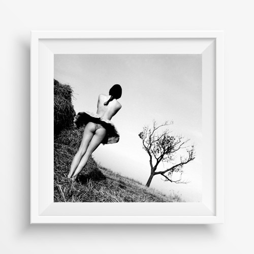 Fotografie "Souznění" — foto 2