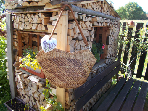 Srdíčko — foto 6