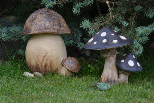 Muchomůrka zahradní — foto 4