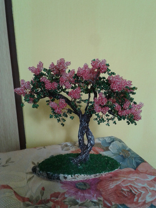 Pink šeřík — foto 2