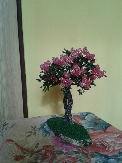Pink šeřík — foto 3