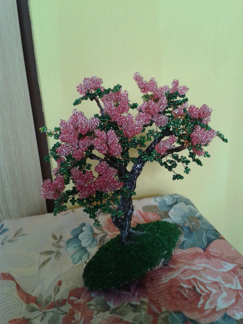 Pink šeřík — foto 4